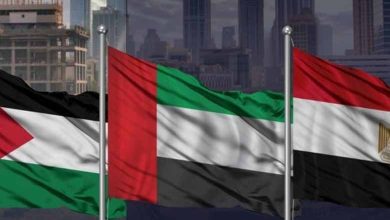 شراكة متكاملة بين الإمارات ومصر والأردن