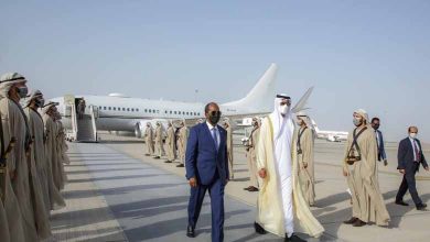 الصومال الجديد والحكمة الإماراتية