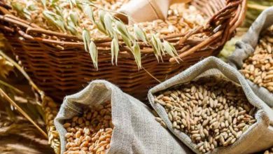 أزمة الغذاء.. بين خسائر مؤكدة ومصالح متضاربة