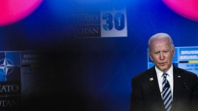 الحرب وأوروبا و"بايدن".. حديث الثعالب