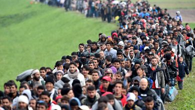 الشعب التركي أكثر الشعوب طلباً للجوء إلى أوروبا