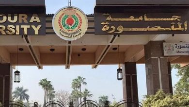 تفاصيل التعدي على طالبة كفر الشيخ بجامعة المنصورة