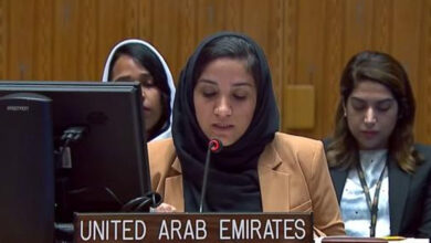 الإمارات تدعو لدعم جاد للسودان من المجتمع الدولي بمجلس الأمن