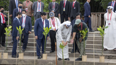 رئيس دولة الإمارات يغرس شجرة القرم في إندونيسيا (صور)