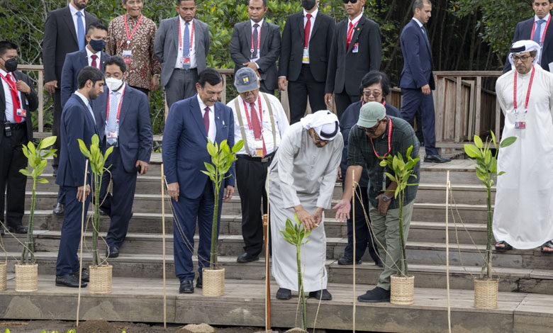 رئيس دولة الإمارات يغرس شجرة القرم في إندونيسيا (صور)