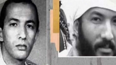 رضا برشي زاده: وجود زعيم تنظيم القاعدة في إيران ليس غريبا 