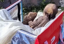 مومياء عمرها 8 قرون داخل حقيبة عامل توصيل