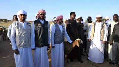 الإمارات.. الفريق الإنساني يوزع 200 رأس ماشية على أهالي منطقة الحلة في أم جرس التشادية