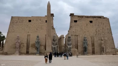 اكتشاف نبيذ محفوظ في صعيد مصر يعود تاريخه لـ 5000 عام: ماذا يعني ذلك؟