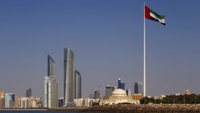 الإمارات تتصدر التصنيف العالمي في هذا المجال: الإنجازات الملفتة والتأثير العالمي