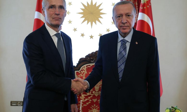 انضمام السويد لـ«الناتو».. وأردوغان يعلق