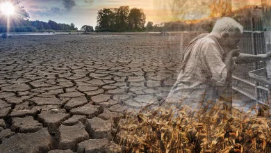 دراسة تكشف تأثير الجفاف وموجات الحرّ على استهلاك المياه