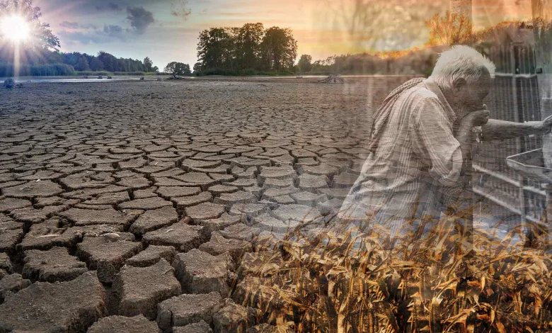 دراسة تكشف تأثير الجفاف وموجات الحرّ على استهلاك المياه