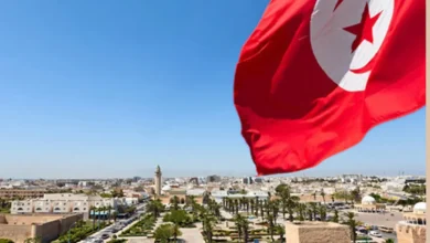 محللين: تونس انتصرت على الإرهاب بتفكيك أكثر من 148 خلية إرهابية