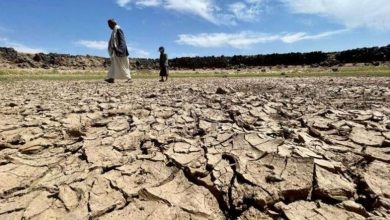 اليمن: أزمة المناخ تضاعف أعباء انعدام الأمن الغذائي والمائي