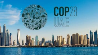 حصاد «COP28» في أسبوع