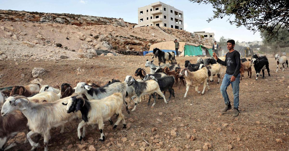 رغم استمرار التهميش.. البدو وقود الحرب الإسرائيلية في غزة