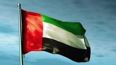 إشادات بجهود الإمارات في مكافحة الإرهاب وتعزيز السلام