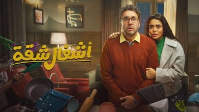 إشادات واسعة بمسلسل "أشغال شقة"