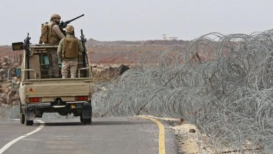 الجيش الأردني يفتح تحقيقا بعد سقوط مسيرة في شمال البلاد