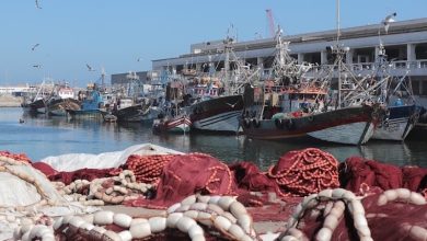 المملكة المغربية تتفاوض مع روسيا بشأن اتفاقية للصيد البحري عوضا عن الأوروبية