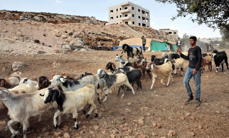 رغم استمرار التهميش.. البدو وقود الحرب الإسرائيلية في غزة