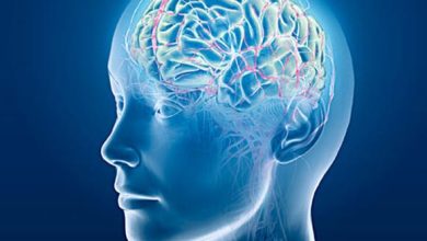 دراسة تكشف سعة تخزين الدماغ البشري