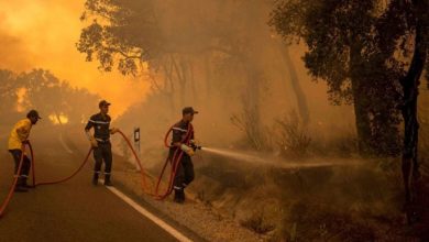 المملكة المغربية تعزّز خططها للتصدي للحرائق بالذكاء الاصطناعي