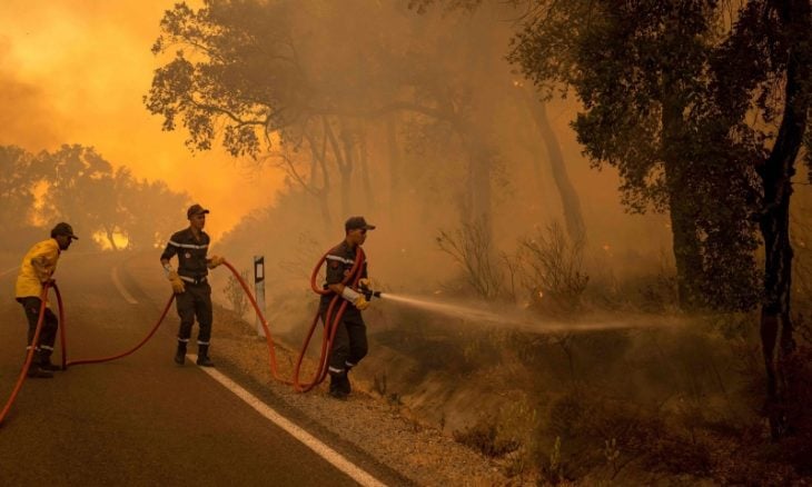 المملكة المغربية تعزّز خططها للتصدي للحرائق بالذكاء الاصطناعي