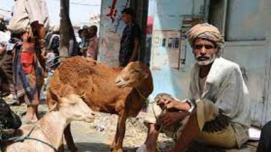 اليمن يستقبل عيد الأضحى بتدهور مستمر ووطن منهك