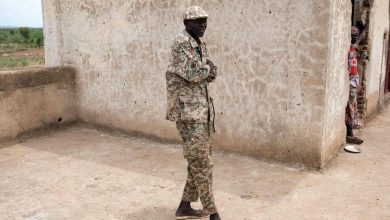 معركة إقليم النيل الأزرق منعطف يحدد مسار الحرب السودانية