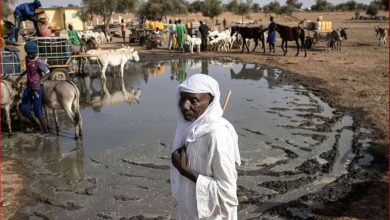 مخاوف من انضمام الفولانيين إلى الجماعات المتشددة: الأسباب والتداعيات