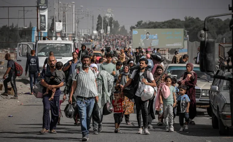 بكري: مصر تقود الجهود لمنع تهجير الفلسطينيين من غزة