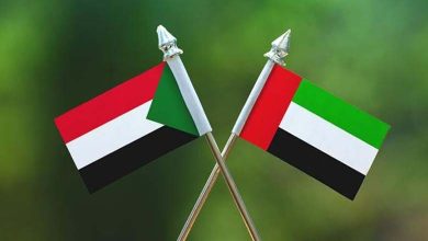 الإمارات ترد على المزاعم السودانية: اتهامات بلا دليل