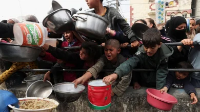 الجوع يكسر الحواجز.. مستودعات تُقتحم وسط عجز دولي في غزة