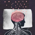 هل تعلم أن دماغك يغتسل ليلاً؟ اكتشف كيف يحدث ذلك أثناء النوم