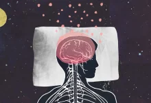 هل تعلم أن دماغك يغتسل ليلاً؟ اكتشف كيف يحدث ذلك أثناء النوم