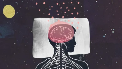 هل تعلم أن دماغك يغتسل ليلاً؟ اكتشف كيف يحدث ذلك أثناء النوم