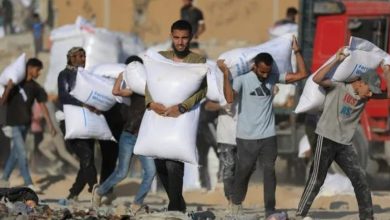 صحيفة «هآرتس» تكشف عن تحقيقات بجرائم حرب في قطاع غزة