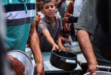 غزة تحت الجوع والنار.. والمساعدات تتحول إلى غنائم