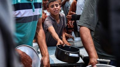 غزة تحت الجوع والنار.. والمساعدات تتحول إلى غنائم