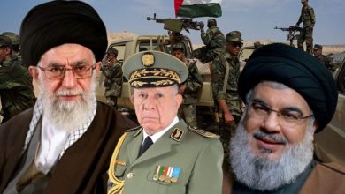 في امتحان السيادة: دعم إيران للبوليساريو يكشف الوجه الحقيقي لسياسة طهران في المغرب العربي