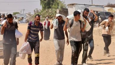30 قتيلاً في انتظار الرغيف.. غزة تنزف على أبواب المساعدات