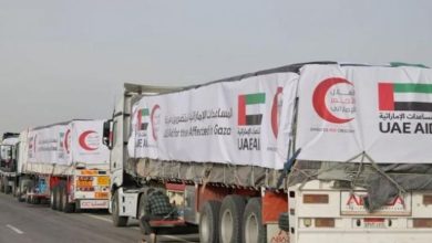 أبوظبي تدفع نحو السلام.. دعم إماراتي راسخ لحل الدولتين