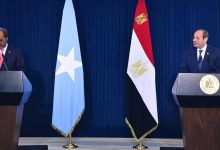 السيسي والرئيس الصومالي يبحثان شراكة استراتيجية لتثبيت الاستقرار في شرق أفريقيا