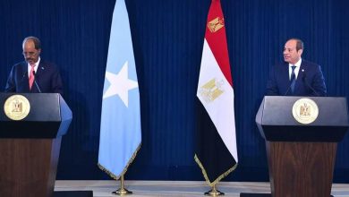 السيسي والرئيس الصومالي يبحثان شراكة استراتيجية لتثبيت الاستقرار في شرق أفريقيا
