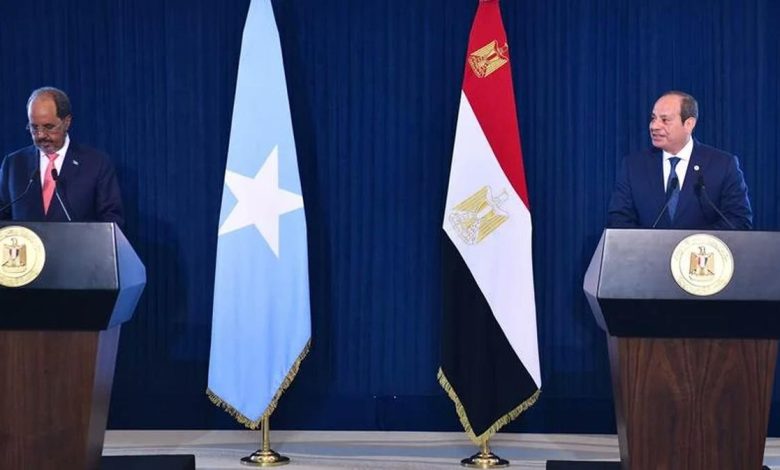 السيسي والرئيس الصومالي يبحثان شراكة استراتيجية لتثبيت الاستقرار في شرق أفريقيا