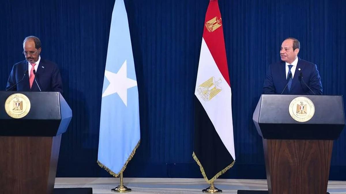 السيسي والرئيس الصومالي يبحثان شراكة استراتيجية لتثبيت الاستقرار في شرق أفريقيا