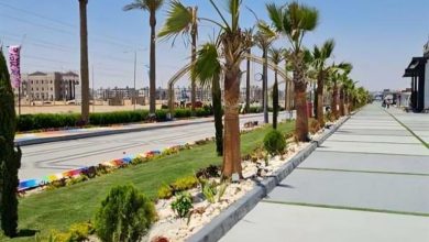 القتل بعد الخلع.. كيف تتحول الخلافات الزوجية إلى مأساة؟