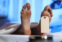 لموت مستدام .. ابتكار تابوت عضوي يتحلل بالكامل خلال أسابيع